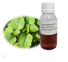 Patchouli Oil