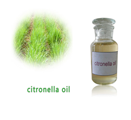 citronella oil