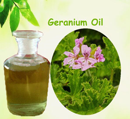 gerainum oil