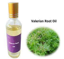 valerian oil