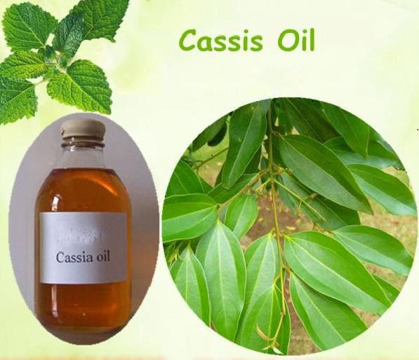 cassia oil