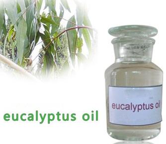 eucalyptus oil